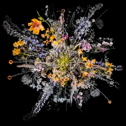 Bouquet VII, 2018