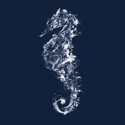 Floralseahorse, 2019