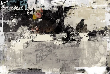 Love Birds, 2015