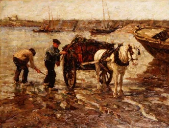 Gathering Seaweed