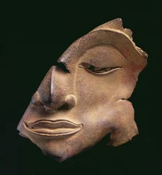 Head