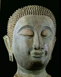 Head of a Giant Buddha