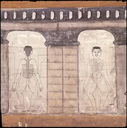 Depiction of massage points on the human body