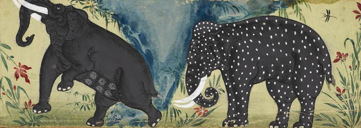 Two elephants by a river, one covered in white spots