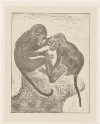 Two Flea-Picking Monkeys