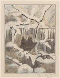 Winter Wren on Snowy Branch