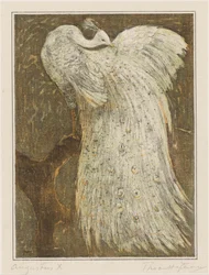 White Peacock on Branch