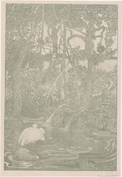 Forest Idyll