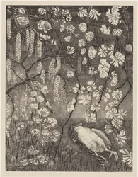 Dead Bird under Hazel and Honeysuckle Branches