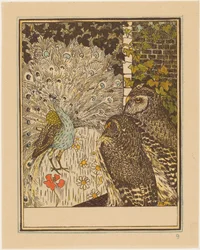 Peacock Displaying and Two Owls