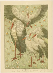 Five storks in a meadow