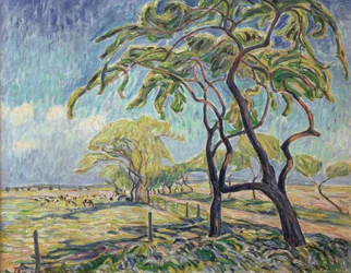 Landscape near Kaiserswaldau