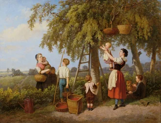 The Cherry Harvest