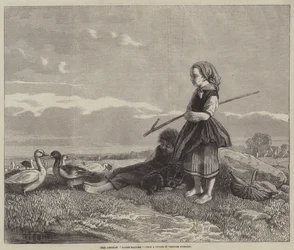 The German Goose-Maiden