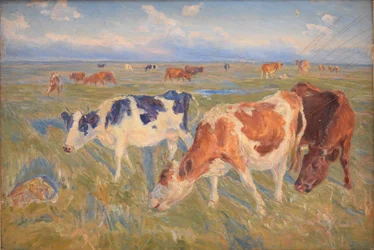 Grazing Cows on the Island of Saltholm
