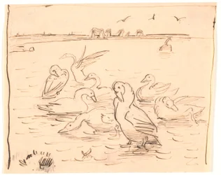 Geese on Saltholm
