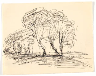 Landscape Sketch with Large Trees