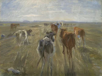 Long Shadows. Cows on the Island of Saltholm