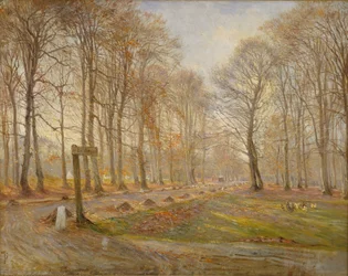 Late Autumn Day in the Jægersborg Deer Park, North of Copenhagen