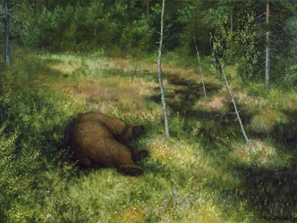 Bear Brakar