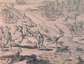 Slaughter of sea lions by explorers