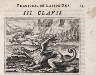 A Dragon, in the Background, a Chicken-stealing Wolf Attacked by a Rooster (Engraving by Theodore de Bry)