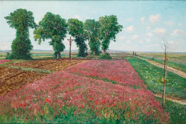 The Large Esparsette Field in Znaim IV
