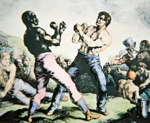 The Boxers