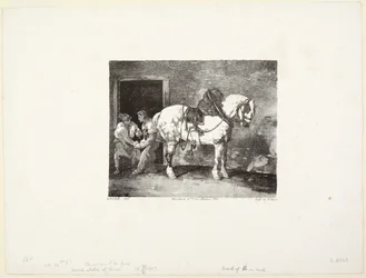 A Horse Being Shod