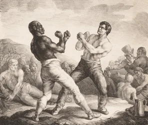 Boxers