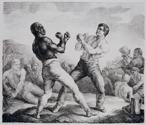 Boxers