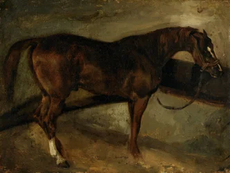 Brown Horse