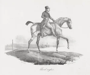 English Horse