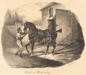 Horse from Mecklenburg