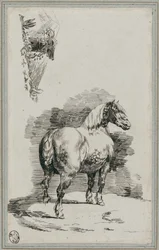 A Dapple-Gray Horse