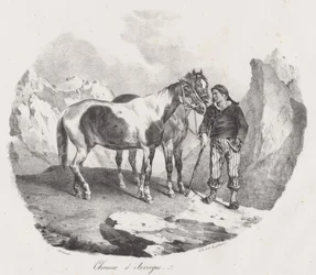 Auvergne Horses