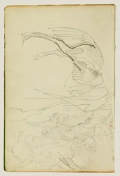 Compositional Study, Horse Studies
