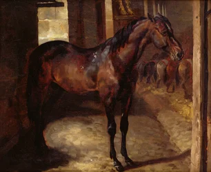 Dark Bay Horse in the Stable