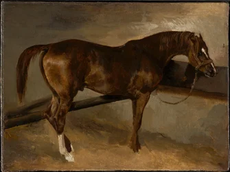 Dervish in His Stall