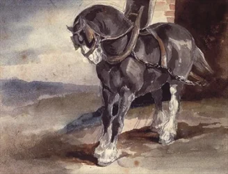 Draft Horse by a House