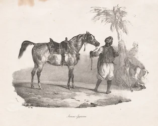 Egyptian Mare, 1822