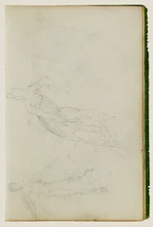 Figure Studies