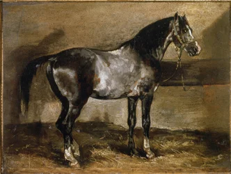 Grey Horse at the Ratelier