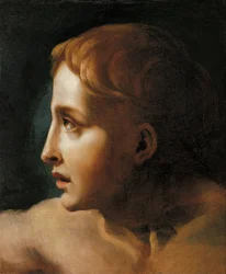 Head of a Youth