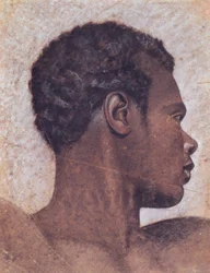 Head of a Black Person