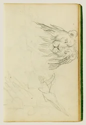 Head-on View of Seated Lion