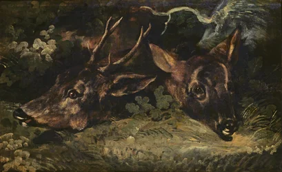 Heads of Roe Deer, 1815