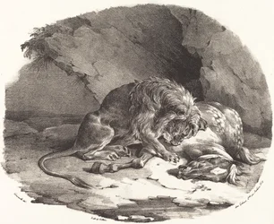 Horse Devoured by a Lion