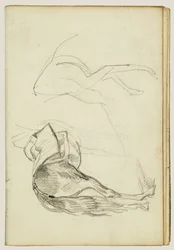 Horse Studies