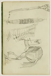 Horse Studies and Tassels